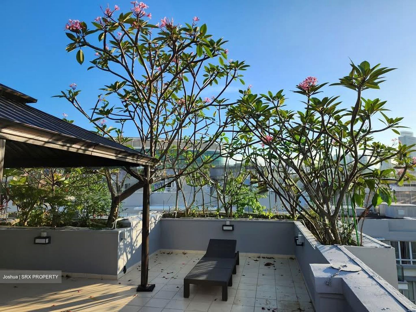 8 @ Mount Sophia (D9), Condominium #575320321